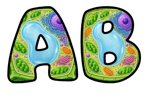Plant Cell Themed Bubble Letters | Classroom Display Alphabet | A-Z and 0-9