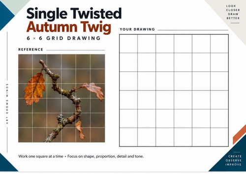 Single Twisted Autumn Twig Grid Drawing Worksheet | Autumn Art | KS3 & KS4