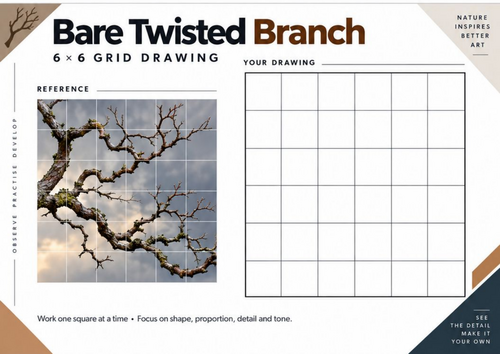 Bare Twisted Branch Grid Drawing Worksheet | Nature Drawing | KS3 & KS4 Art