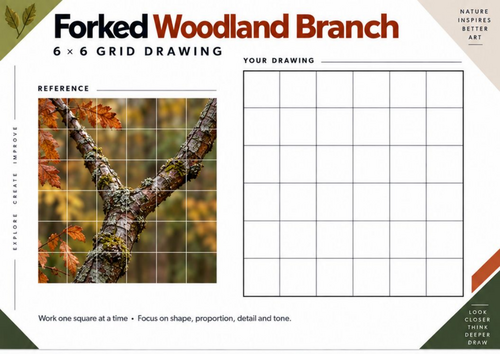 Forked Woodland Branch Grid Drawing Worksheet | Observational Drawing | KS3 & KS4