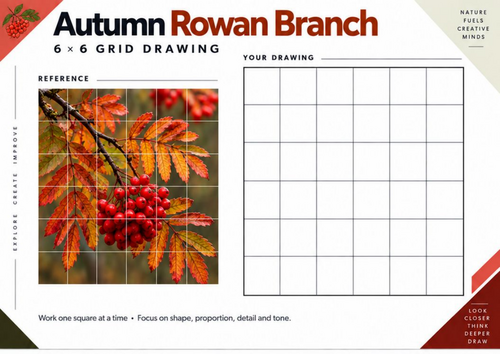 Autumn Rowan Branch Grid Drawing Worksheet | Berries & Leaves | KS3 & KS4 Art