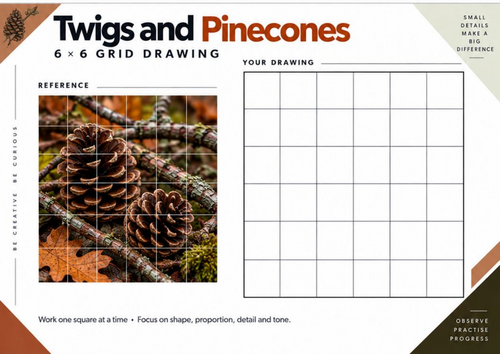 Twigs and Pinecones Grid Drawing Worksheet | Autumn Woodland Art | KS3 & KS4