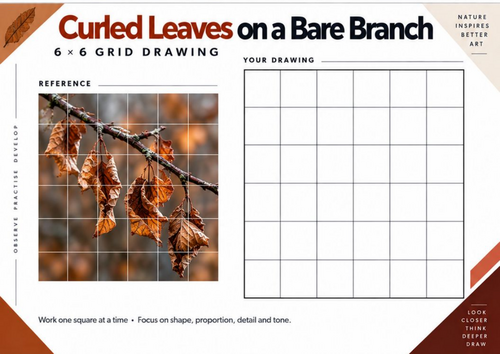Curled Autumn Leaves on a Bare Branch Grid Drawing Worksheet | KS3 & KS4