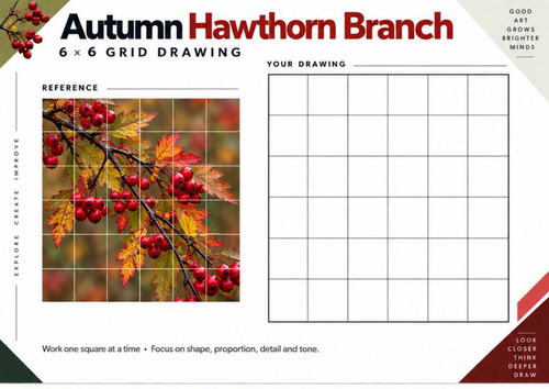 Autumn Hawthorn Branch Grid Drawing Worksheet | Berries & Leaves | KS3 & KS4