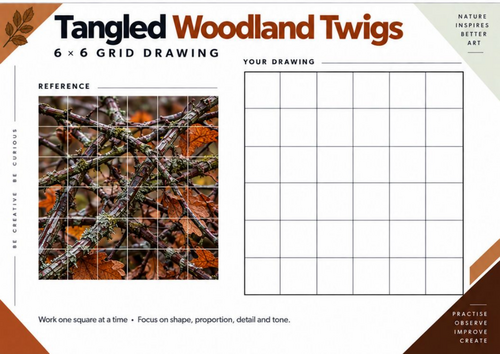 Tangled Woodland Twigs Grid Drawing Worksheet | Natural Forms Art | KS3 & KS4