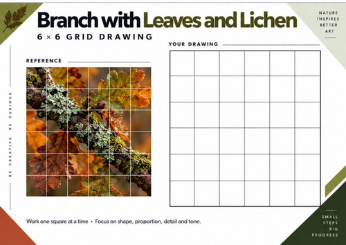 Branch with Leaves & Lichen Grid Drawing Worksheet | Autumn Nature Art | KS3 & KS4
