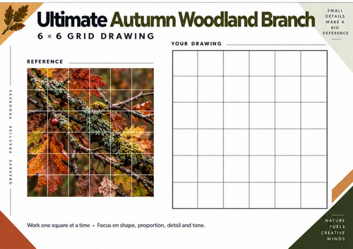 Ultimate Autumn Woodland Branch Grid Drawing Worksheet | KS3 & KS4 Art