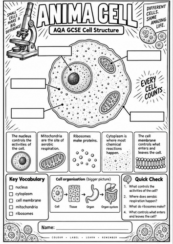 GCSE Cell Biology Colouring Sheets