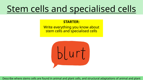 Stem cells and specialised cells lesson
