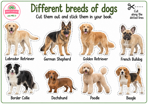 Dog enhancement resources