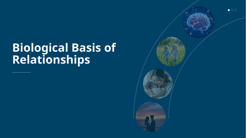 Biological Explanation for Relationship Formation