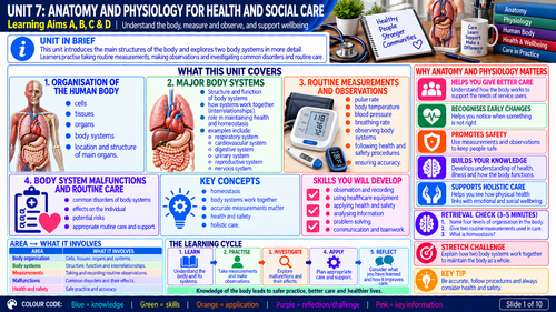 BTEC Level 2 Health & Social Care Unit 7 Anatomy & Physiology | 10 Visual Revision Resources