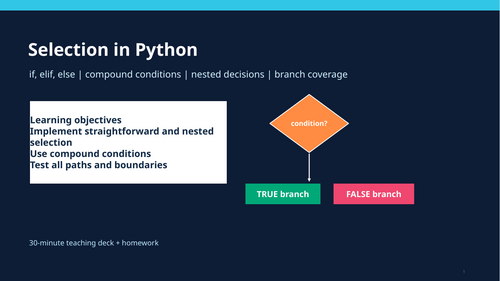 GCSE/IGCSE Python Selection & Testing