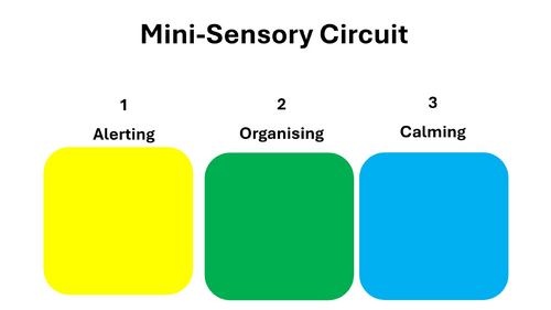Mini sensory circuits