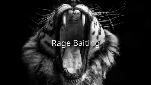 Rage Baiting