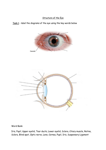 The Eye