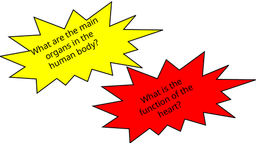 Human Body Science Prompt Questions KS2