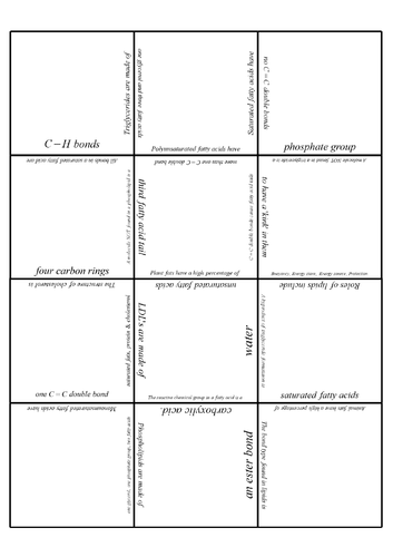 Biological molecules - Lipids - Jigsaw