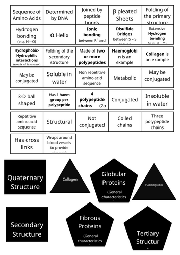 Biological molecules  - proteins - matching