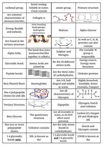Biological molecules - proteins & carbohydrates - dominoes