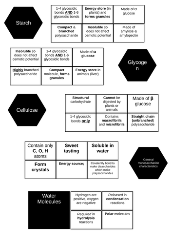 Biological molecules - carbohydrates - matching