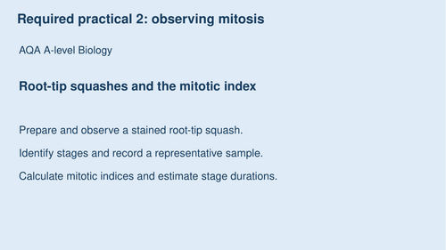 AQA A-Level Biology Required Practical 2: Mitosis & Mitotic Index
