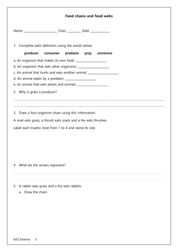 KS3 Food chains and food web (presentation & worksheet)