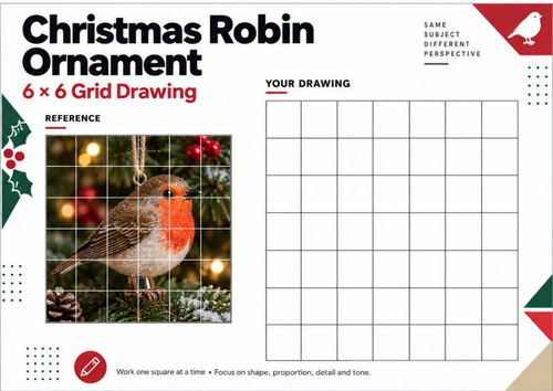 Christmas Robin Grid Drawing Worksheet | Bird Drawing Art Activity | KS3 KS4