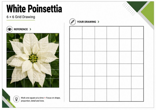 White Poinsettia Grid Drawing Worksheet | Christmas Botanical Art | KS3 KS4