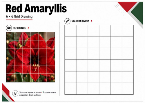 Red Amaryllis Grid Drawing Worksheet | Christmas Flower Drawing | KS3 KS4