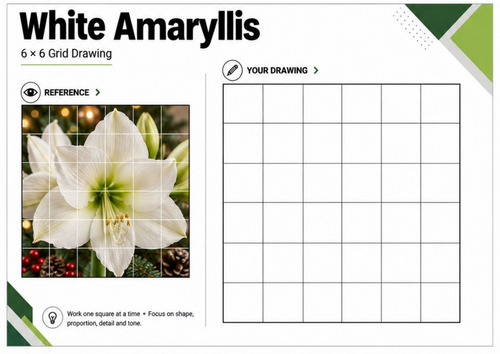 White Amaryllis Grid Drawing Worksheet | Winter Botanical Art | KS3 KS4