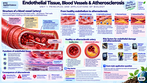 BTEC Level 3 Applied Science AAQ – Unit 1: Principles and Applications of Biology | Visual Revision