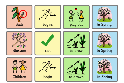 Y1 Plants SCIENCE UNIT OF WORK