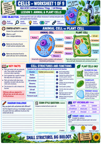 cells