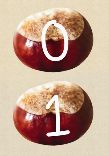 Conker numbers
