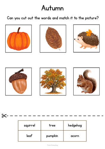 Autumn SEN Worksheets | 4 Literacy Activities