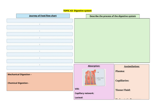 F091 Digestive System Knowledge Organiser