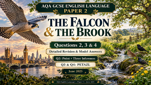 AQA - ENGLISH LANGUAGE PAPER 2 - JUNE 2025 - FULL BREAKDOWN OF QUESTIONS 2, 3 AND 4