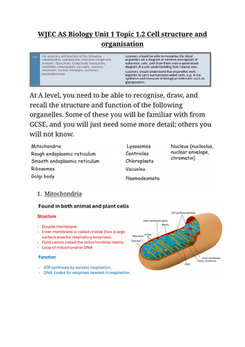 WJEC A level Biology 1.2 Cell structure and organisation notes