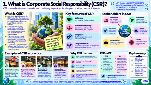 AQA A-Level Business | CSR, Sustainability & ESG Reporting | 10 Visual Revision Resources