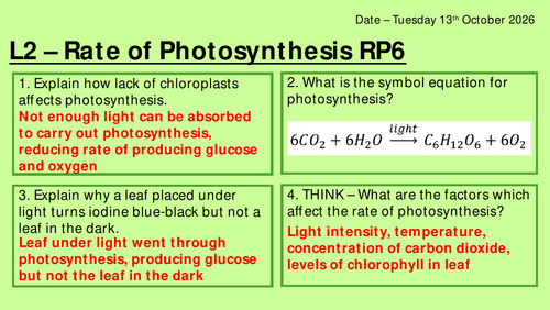 GCSE Photosynthesis required practical