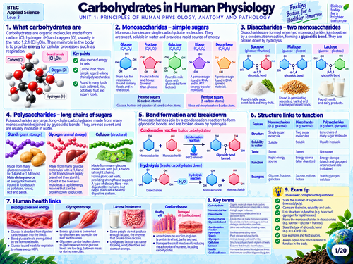 BTEC Level 3 AAQ Medical Science Unit 1 | Human Physiology, Anatomy & Pathology | 20 Visual Revision