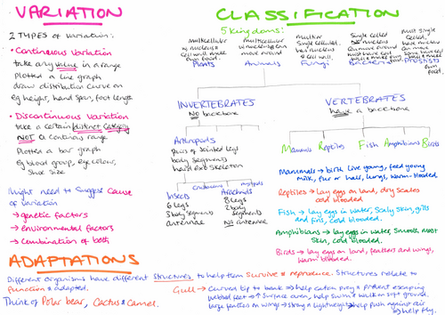 13+ CE variation, adaption and classification