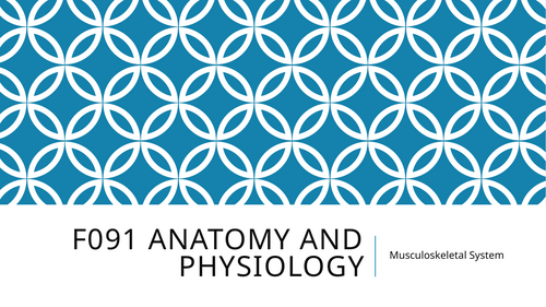 Health and Social Care OCR AAQ F091 Exam Topic 4 Musculoskeletal System Resources
