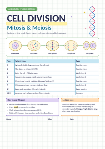 GCSE Biology Cell Division Worksheet Pack | Mitosis, Meiosis & Cell Cycle