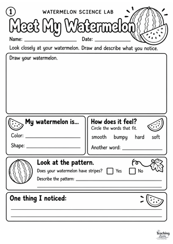 Watermelon Science & STEM Activities – Life Cycle, Investigations and Maths Worksheets
