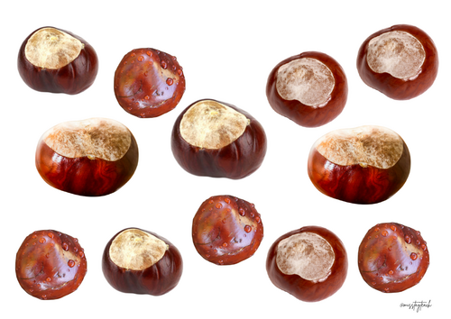 Conker Subitising