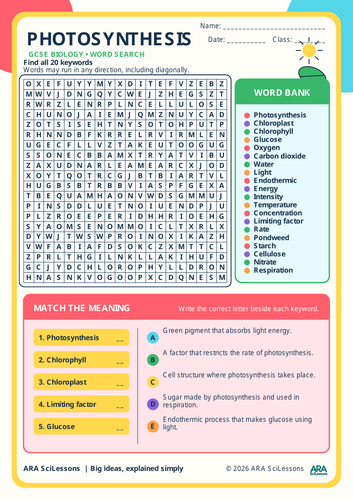 GCSE Photosynthesis Word Search and Keyword Matching Activity with Answers