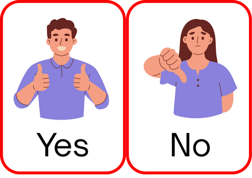 Yes/No flash cards