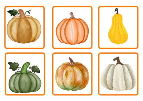 Pumpkin patch resources.